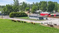 Ample Parking, Farm Experience, Pet-Friendly Home - 4つ星