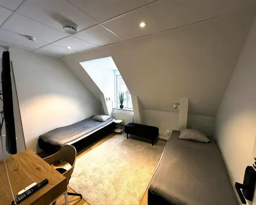 Attic Hostel ボロースのホテル