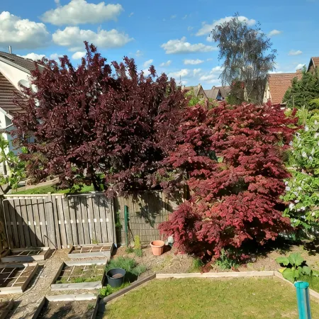 Vacation home Kleine Einkehr - comfortable & quiet in Waren (Müritz), with balcony Отели в г. Варен