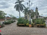 Charmed by La CalzadaPrivate home in the heart of Granada2Br/AC/WiFi/Kitchen - Homestays