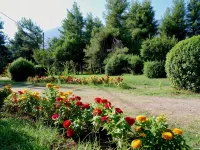 Alexakis Hotel & Spa Hotels in Lamia