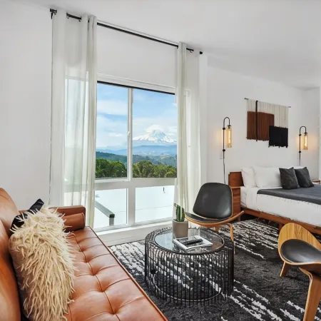 Penthouse deluxe studio, Mt Hood views, downtown White Salmon, suite 12