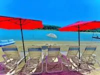 From Sunrise to Sunset - Peaceful Waterfront Escape 7 acres, 300+ ft. beachfront - Homestays