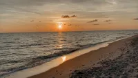 Magical Suite:  Pool, Sauna, AC, Wi-Fi and More in Awesome Quite Venice-Florida - Apartments
