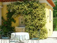 Country cottage fully furnished, in private property, quiet.
