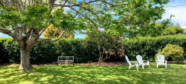Sunny Cottage, Close to Town & Family Friendly Hotels in Arcata