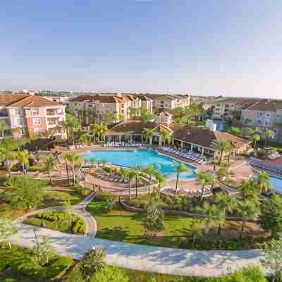 New Listing Beautiful Condo, Vista Cay - 3017 Rooms