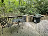 Spacious Brevard Cabin w/ Views & Pool/Golf/Lake - Chalets