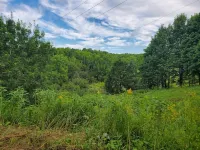 Peaceful, Centrally Located Home with Seasonal River Views