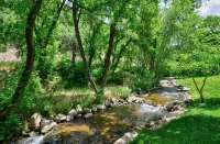 Beautiful Remodeled 5 Bedroom 3000 sq ft Cabin in the Iconic Vivian Park Area