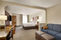 Comfort Inn Airport - Kæledyr tilladt