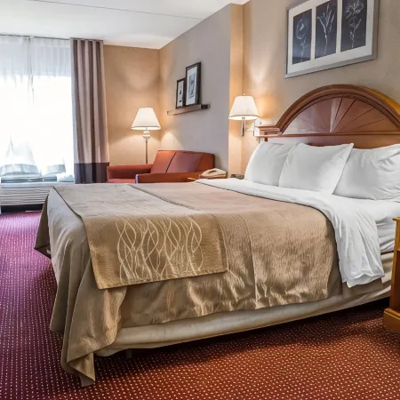 Comfort Inn Meadowlands
