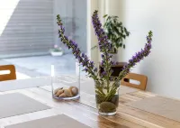 Halltorp Townhouse Hotels in 
