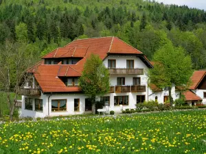 Rhön-Hotel Sonnenhof -