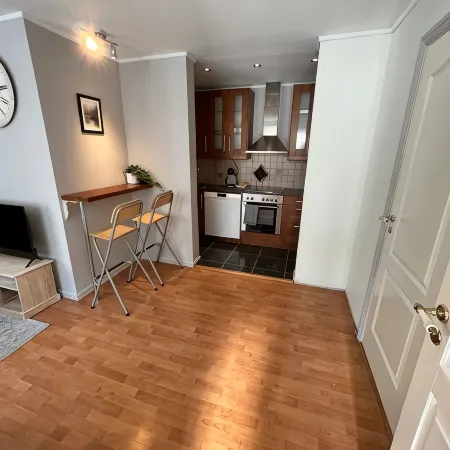 Central 1BR apartment (D14D)