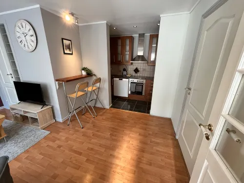 Central 1BR apartment (D14D) - Apartments