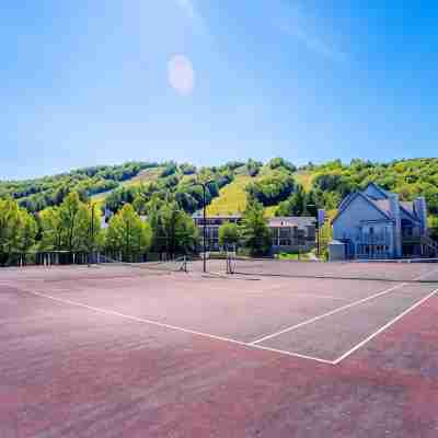 Artistic Hillside Loft Fitness & Recreational Facilities