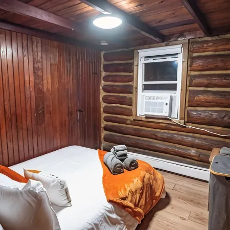 Timber Lodge: Hot Tub, Fireplace & Fun for All !