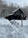 Black Dog Lodge - Ski Chalet centered between Okemo and Killington Mt.