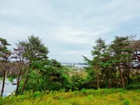 Gangneung Gyeongpo Cabin Pension Hotels near Fantasy Cup Museum