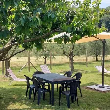 House Vineyards Valpolicella, Garden Private Pool, 5 Min. Verona, 20 Min Garda