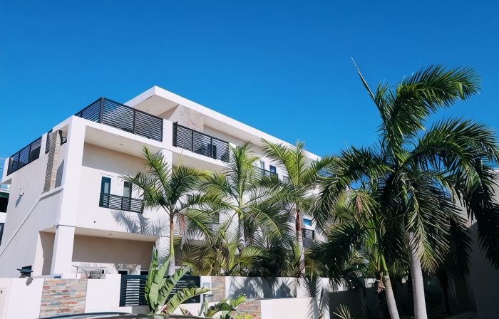 Palapa Suite # 5, walk to Eagle Beach