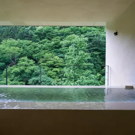 Shima Onsen Yuzurihaso Hot Spring Inn