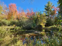 Private hideaway home with the best nature views. Short drive to coastal views - 무료 와이파이