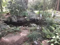 Charming High Point Historical Home only minutes from HPU and Furniture Market - 방갈로