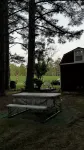 Whispering Pines Cabin near beautiful Lake Ouachita - Chalets