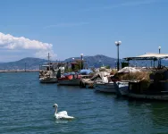 Argo Apartments Near Nafplio - Lemmikkieläimet sallittu