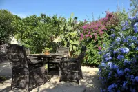 Historic 1700 Villa in village near sea. Pool gardens WiFi A/C Solar P. - Wifi
