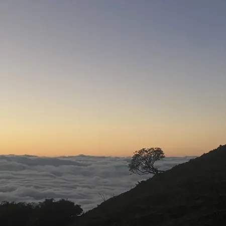 Dawa Genza Shenshan Hotel