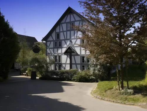Hotel Freimühle Hotels in Girod