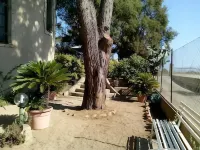 B&B Il Vigneto Hotel in zona Casa Melis