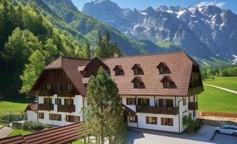 Hotel Plesnik Logarska Dolina