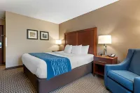 Comfort Inn University Hotels in Amherst