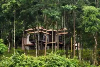 The Serenity Resort