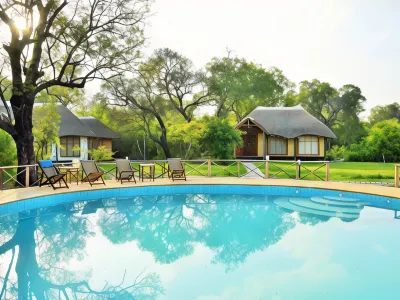 Africa Safari Selous Nyerere National Park Hotels in 
