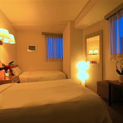HOTEL MEIJIYA Hotels in Hamamatsu
