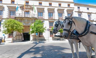 Hotel Jerez Centro, Affiliated by Meliá