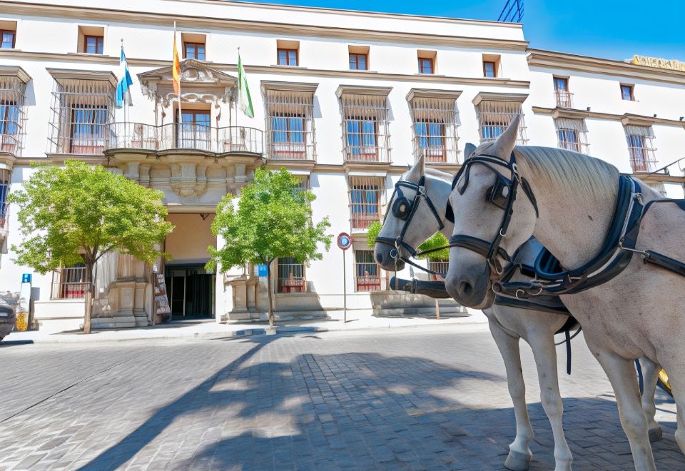 Barcelo Jerez Centro
