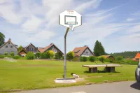 Hotel & Hostel Drei Bären - Pet friendly