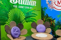 Maya Suites Badian powered by Cocotel Hotels in Alegria