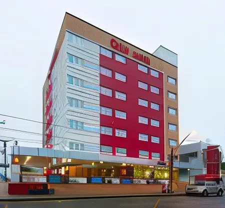 Ibis Teresina