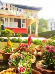 Gibbon Backpackers Hostel Các khách sạn ở 