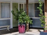 Memphis Motor Inn Hotels in Parkes