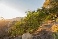 The Meiners Daughter - Beautiful Modernist 1 Bed Hotels in Ojai