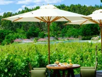 Lavandeira Douro Nature & Wellness Hotels in Baiao