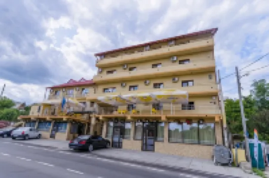 Pensiunea Domneasca Hotels in 